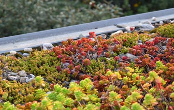 the cost of Reedsford green roof installation