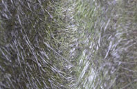 Reedsford fibreglass roof work